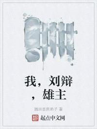 我,刘辩,雄主