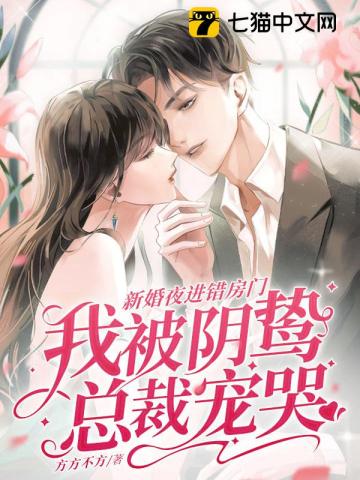 新婚夜进错房门,我被阴鸷总裁宠哭