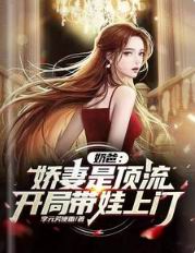 奶爸:娇妻是顶流,开局带娃上门