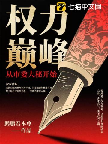 权力巅峰：从市委大秘开始